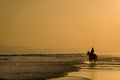 The horse rider on the beach Royalty Free Stock Photo