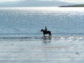 Horse rider on the Beach Royalty Free Stock Photo