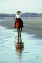 Horse and rider on beach Royalty Free Stock Photo