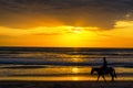 Horse Rider on a Beach Royalty Free Stock Photo