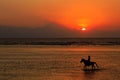 Horse and rider on beach at sunset Royalty Free Stock Photo