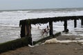 horse rider on beach walking towards the water near old wooden posts Royalty Free Stock Photo