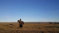 The Horse Rider - Big island of Land of Fire - No man`s land far from civilization Royalty Free Stock Photo