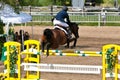 Horse Rider at the Bromont jumping competition