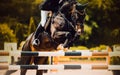 A horse and rider clear a hurdle with ease on a summer day. The breathtaking display of athleticism and teamwork showcases the