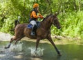 Horse rider competing in Cross Country Event.