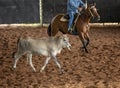 Horse and Rider In Cutting Competition Royalty Free Stock Photo