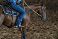 Horse And Rider In Cutting Competition Royalty Free Stock Photo