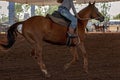 Horse Rider In Event At Rodeo Royalty Free Stock Photo