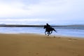 Horse and rider galloping along the coast Royalty Free Stock Photo