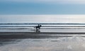 Horse Rider Galopping At Newgale Beach At The Atlantic Coast Of Pembrokeshire In Wales, United Kingdom