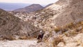 Horse rider going down the hill at Real de Catorce