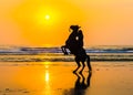 Horse and rider greeting the golden sun Royalty Free Stock Photo