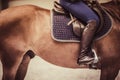 Horse rider on the horse ready for jumping training. Equestrian theme Royalty Free Stock Photo