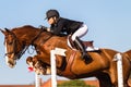 Horse Rider Jump Woman Focus