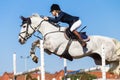 Equestrian Horse Rider Jump Girl