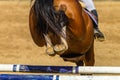 Horse Rider Jump Rear Legs Closeup Hoofs Metal Shoes Poles Royalty Free Stock Photo