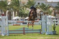 Horse and rider jumping in equestrian competition