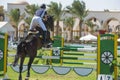 Horse and rider jumping in equestrian competition