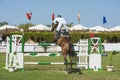 Horse and rider jumping in equestrian competition