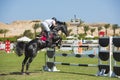 Horse and rider jumping in equestrian competition