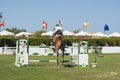 Horse and rider jumping in equestrian competition