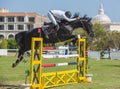 Horse and rider jumping in equestrian competition Royalty Free Stock Photo