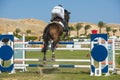 Horse and rider jumping in equestrian competition