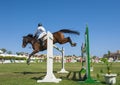 Horse and rider jumping in equestrian competition