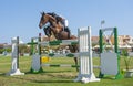 Horse and rider jumping in equestrian competition