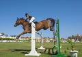 Horse and rider jumping in equestrian competition Royalty Free Stock Photo