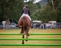 Horse And Rider Jumping Hurdle At Country Show