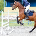 Horse with rider jumping hurdle on show jumping