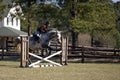 Horse and rider jumping hurdles