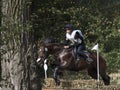 Horse rider jumping over a barrier