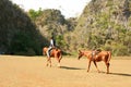 Horse rider leading second horse