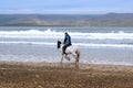 Horse and rider on the maharees beach Royalty Free Stock Photo