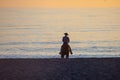 Horse rider on beach at sunset Royalty Free Stock Photo