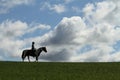 Horse and rider in silhouette Royalty Free Stock Photo