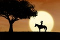 Horse rider silhouette at sunset in park Royalty Free Stock Photo