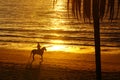 Horse rider, South Pacific ocean beach sunset Royalty Free Stock Photo