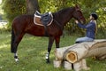 Horse and rider taking a break in the woods Royalty Free Stock Photo