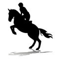 Horse rider, vector illustration