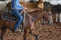 Horse And Rider In Cutting Competition Royalty Free Stock Photo