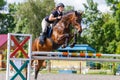 Horse rider woman on show jumping competition Royalty Free Stock Photo