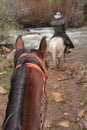 Horse riders approaching river crossing