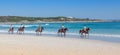 Horse Riders on Beach Royalty Free Stock Photo