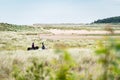 Horse riders at Holkham National Nature Reserve