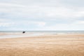 Horse riders at Holkham National Nature Reserve Royalty Free Stock Photo