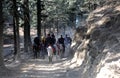 Horse riders at Kufri near Shimla, India